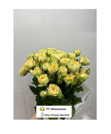 Fresh Spray Rose for Sale | For Flower Arrangement