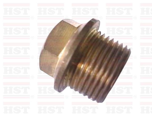 HONDA H689 OIL SUMP NUT (OSN-H689-20)