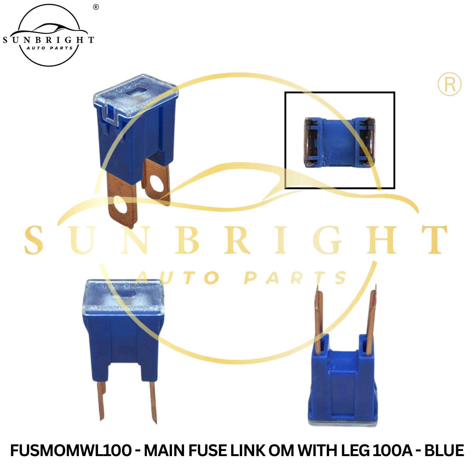 FUSMOMWL100 - MAIN FUSE LINK OM WITH LEG 100A - BLUE