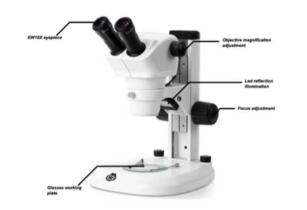 ZOOM STEREO MICROSCOPE