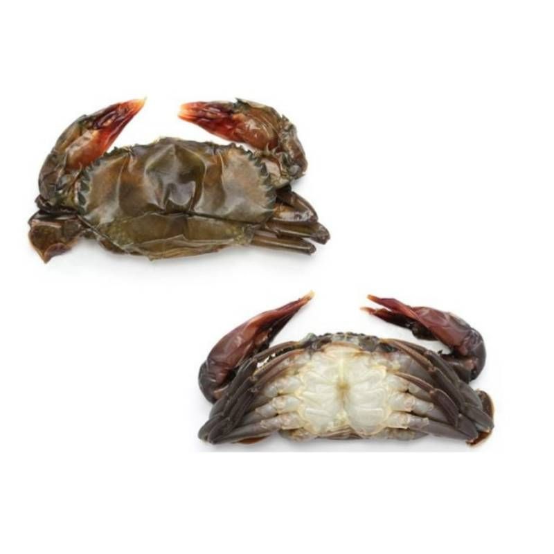 Soft Shell Crab