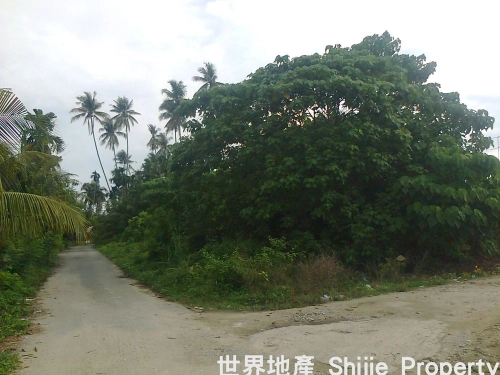 [FOR RENT] Vacant Land At Simpang Ampat, Simpang Ampat