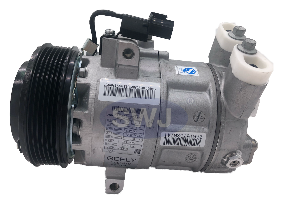 Pro.X70 Val 6PK 12V R134a [PRO 042]