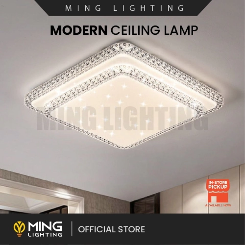 Modern Surface Ceiling Light 14705