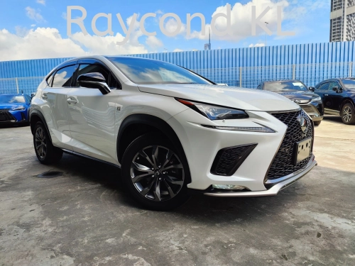 2019 LEXUS NX300 F SPORT (9084)