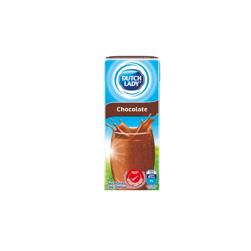 DUTCH LADY CHOCOLATE MILK 200ML / 1 CTN