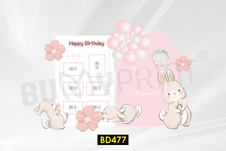 Birthday 477-01