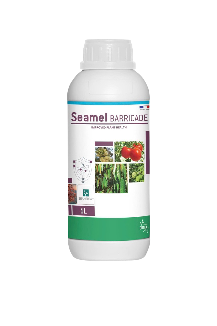 Impact Leaflet Seamel Barricade