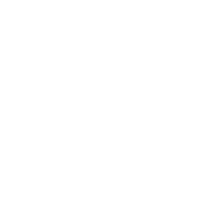 Technical Support