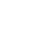 100%优质中药材