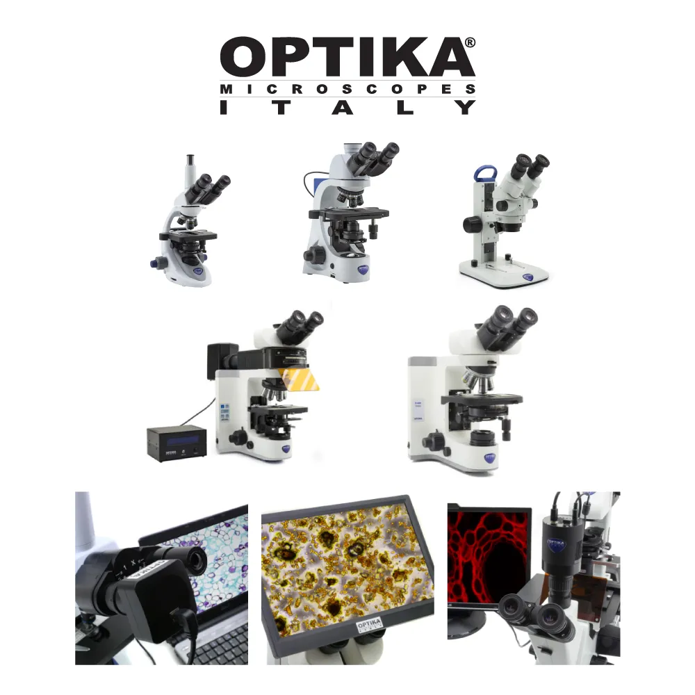 Optika