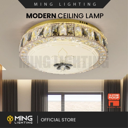 Modern Surface Ceiling Light 14751