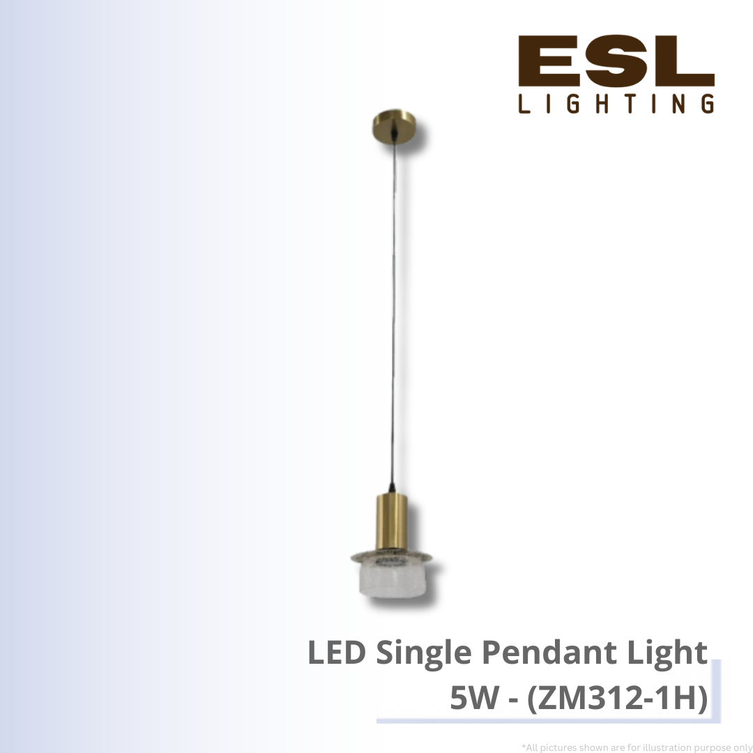 LED Single Pendant Light 5W - ZM312-1H