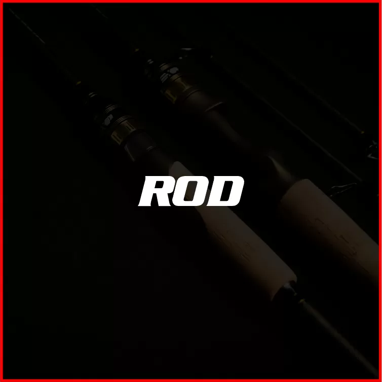 Fishing Rod