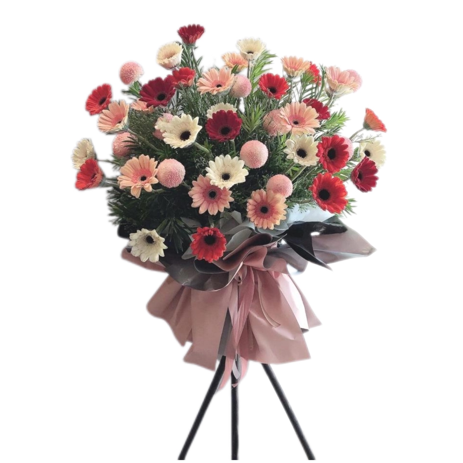 Opening Flower 158