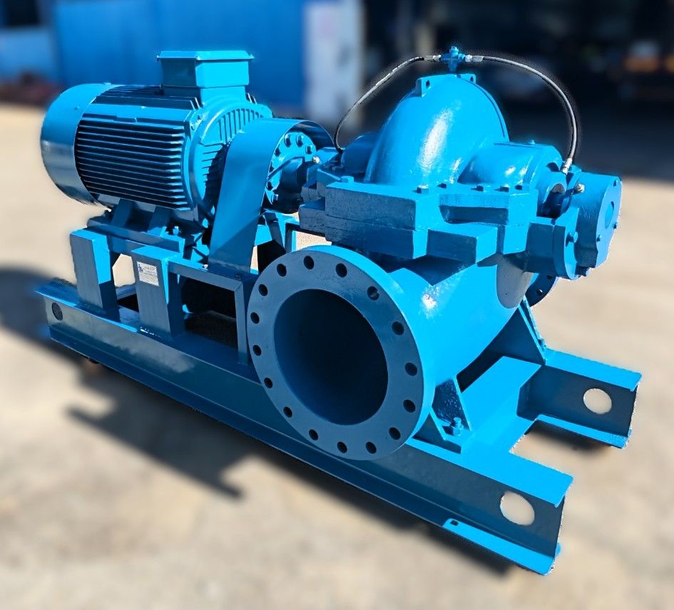 Motor with Split Case Pump
