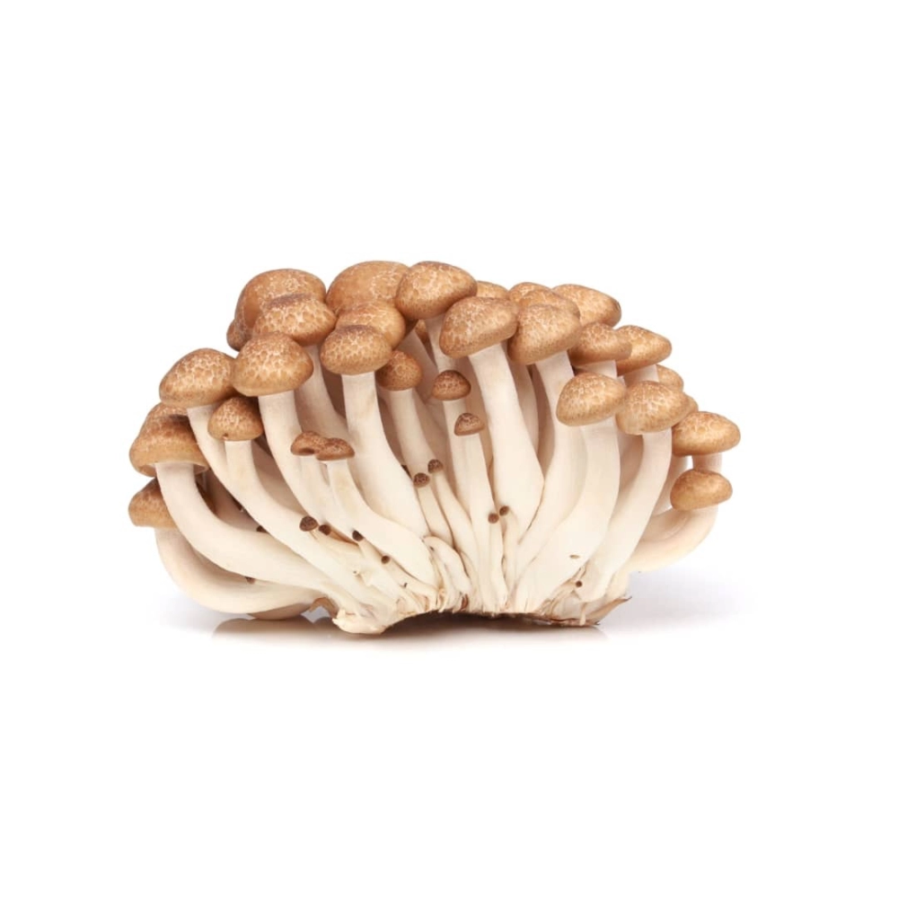 Shimeji Mushroom蟹味菇 125g (限麻坡區/Only Muar)