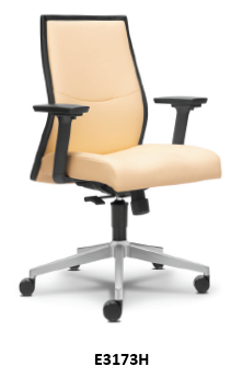 Low Back Chair (E3173H)