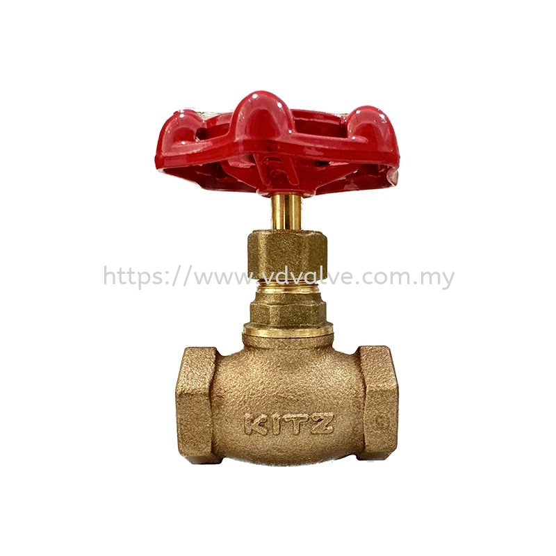 Globe Valve