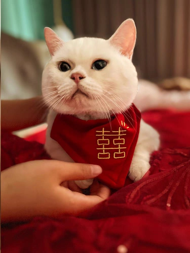 Pet Festive Chinese New Year Festival Wedding Embroidery Pet Collar Saliva Scarf 宠物新年围巾 宠物家有喜事围巾