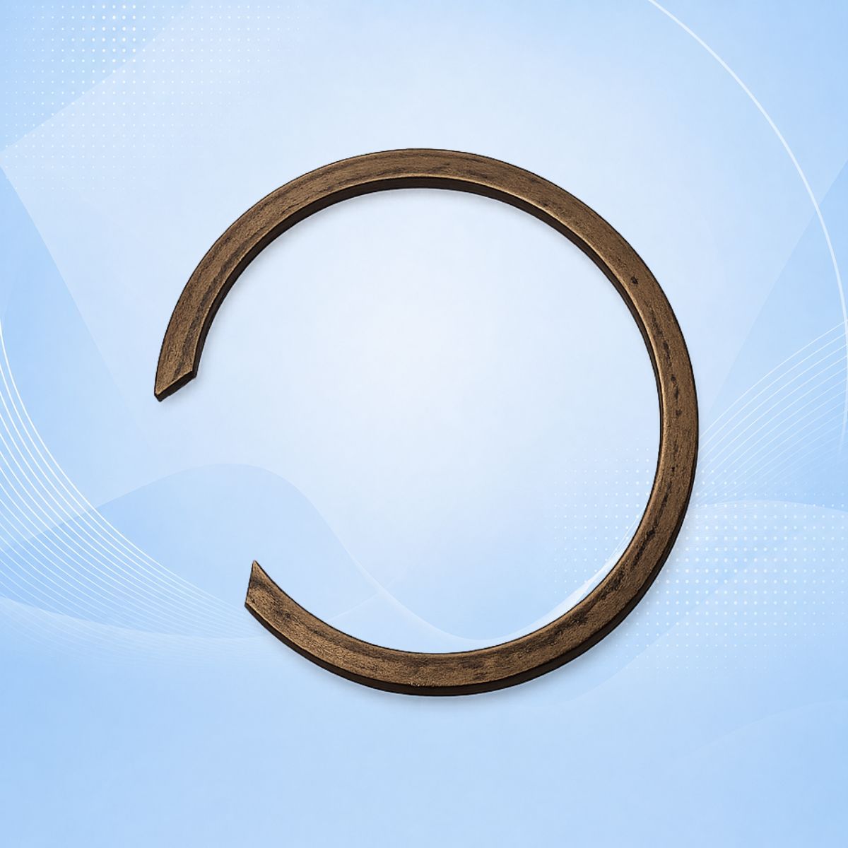 P/NO.2088156 RETAINING RING (CE53S)