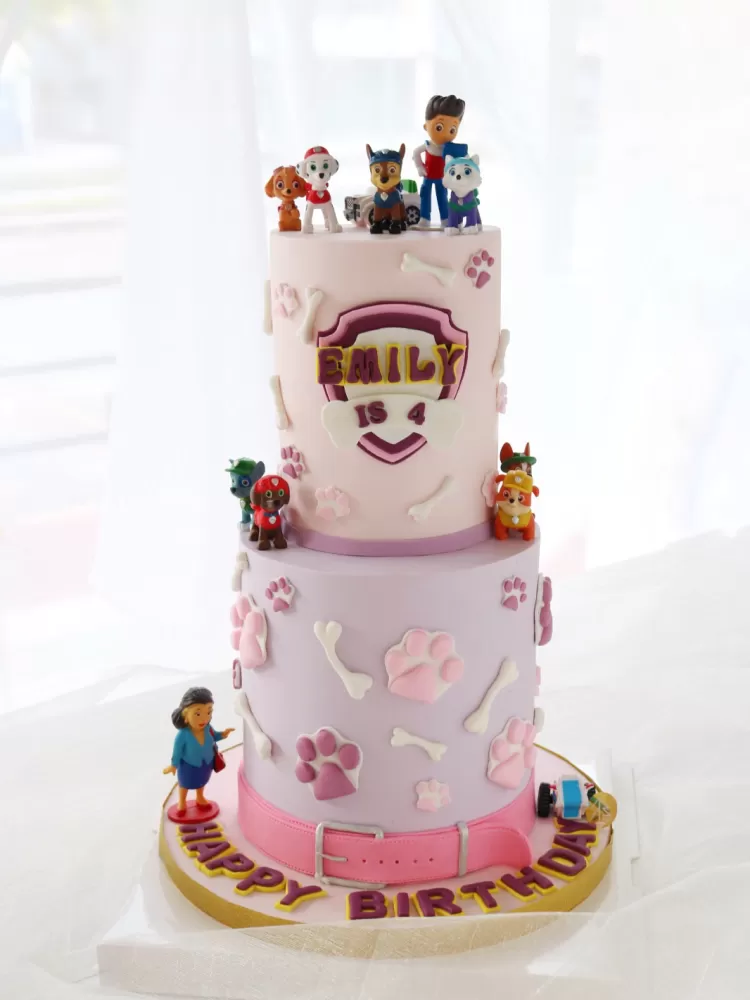 Paw Patrol Cake 2 Tier 