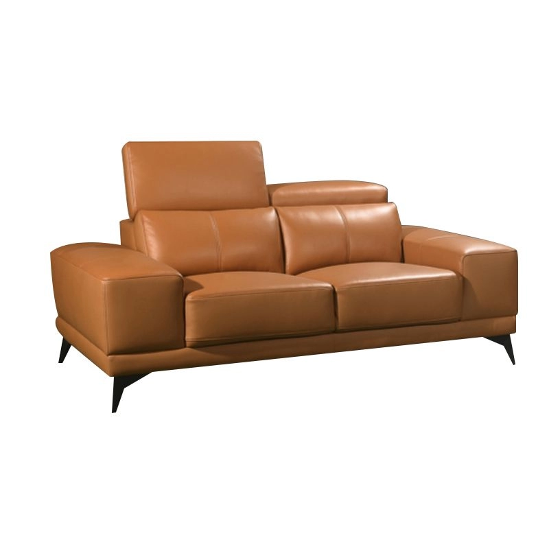 Fayn Sofa 2 Seater (Half Leather)
