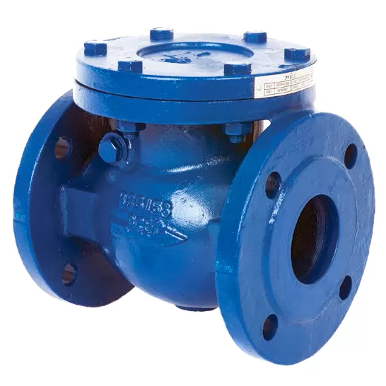 Swing Double Flanged Check Valve
