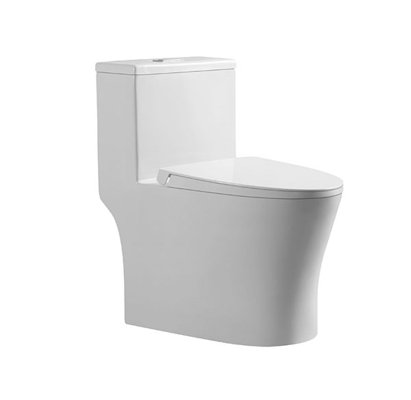 LIGURIA One Piece Water Closet Rimless Washdown – Dual Flush, Soft Close Seat, S-Trap & P-Trap Compatible