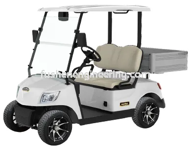 FUSHEN 2 Seater with Cargo Box Golf Cart Model : DG-M2S