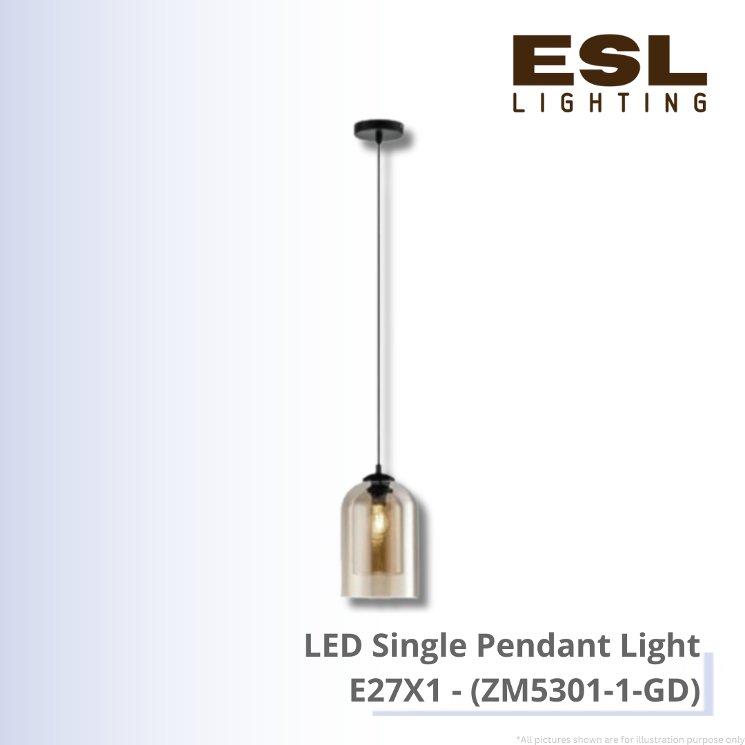 LED Single Pendant Light E27X1 - ZM5301-1-GD