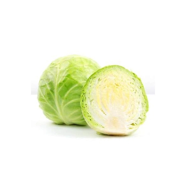 Round Cabbage 包菜
