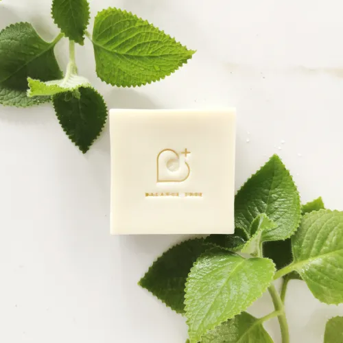 Mexican Mint Soap Bar