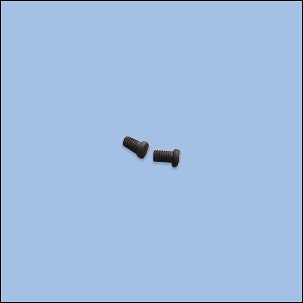 SCREW (84-1610-0)
