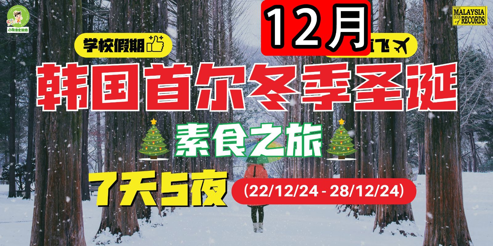 【0306】7天5夜 滑入冬季奇幻韩国圣诞童话素食之旅