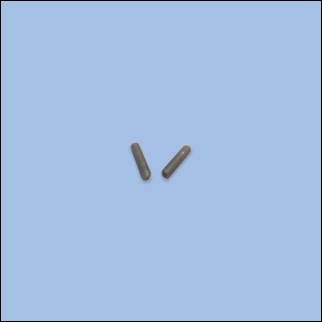GUIDE  ADJUSTMENT SCREW 2900156 (LTG-A016)