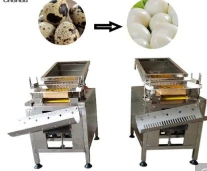 Hot Sale Commercial Machines chicken duck Quail Egg Peeling Machine