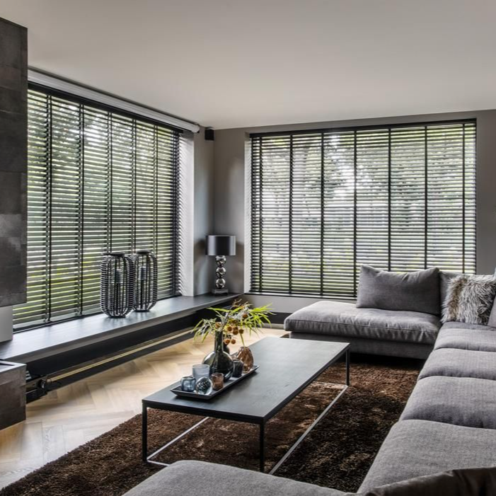 Popular Blind Colors for Modern Homes