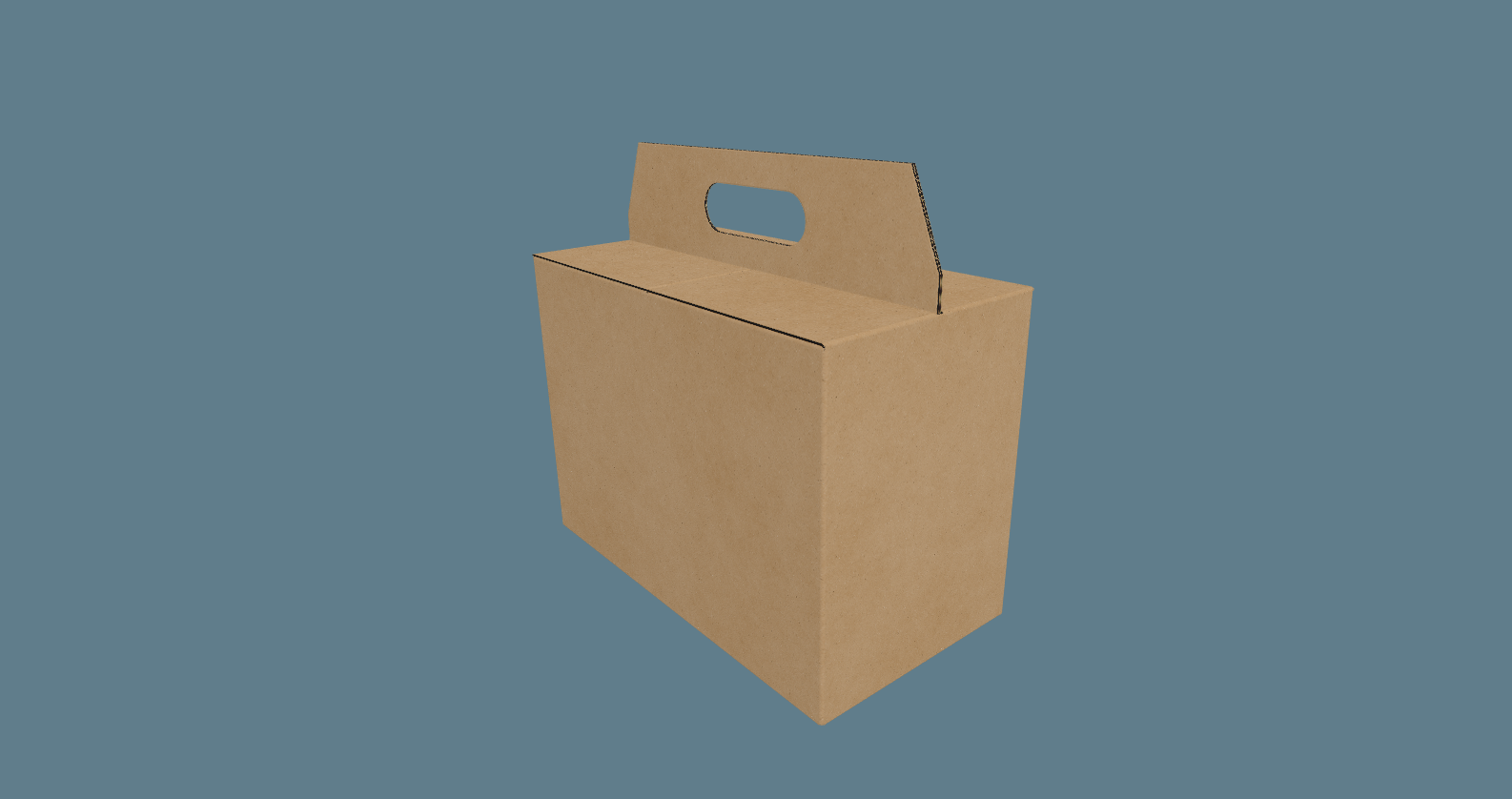 Carry Handle Box