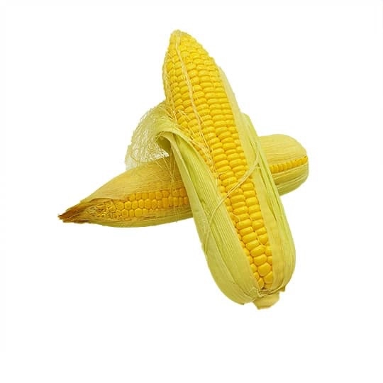 Corn 玉蜀黍 (限麻坡區/Only Muar)