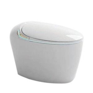 Saniware Intelligent Water Closet with Tank