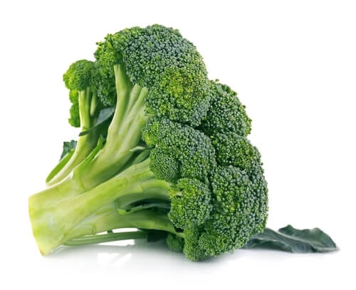 Broccoli 西蘭花