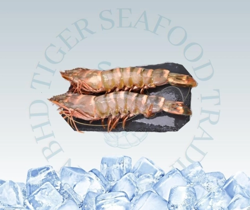 Wild Caught Sabah Tiger Prawn