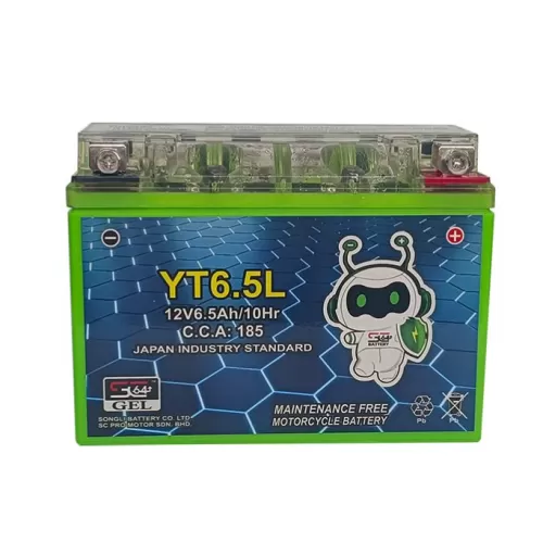 YB6.5L-BS Gel