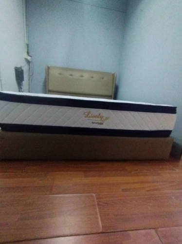 Goodnite Livoly | Queen Size Mattress | Statfree Goodnite Mattress | Queen Size Bedframe