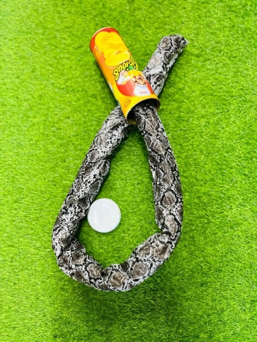 Potato Chips Cans Snake Trick (T159-A680)