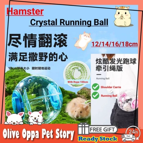 2 in 1 Hamster Exercise ball hamster wheel rolling ball Hamster Crystal Running Ball With Rope 仓鼠跑球 仓鼠运动滚球