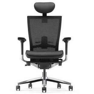 Director Presidential Highback Ergonomic Office Chair OFNX220051
