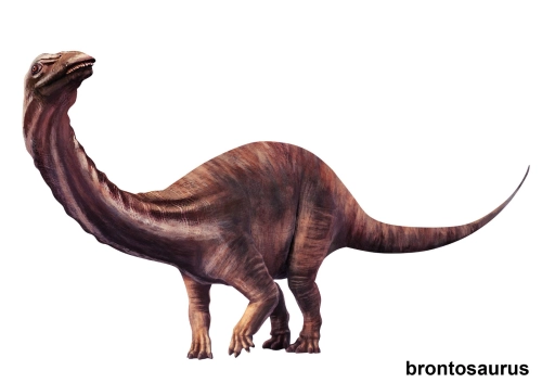 Brontosaurus