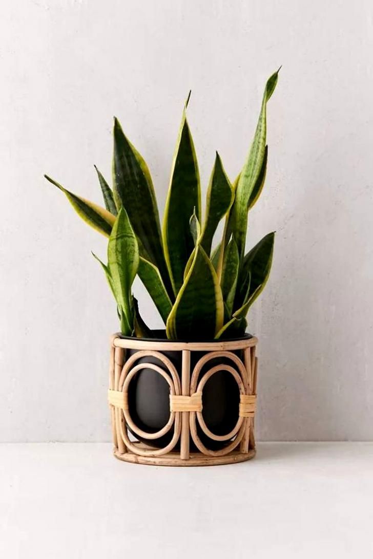 RAP 002 - RATTAN PLANTER